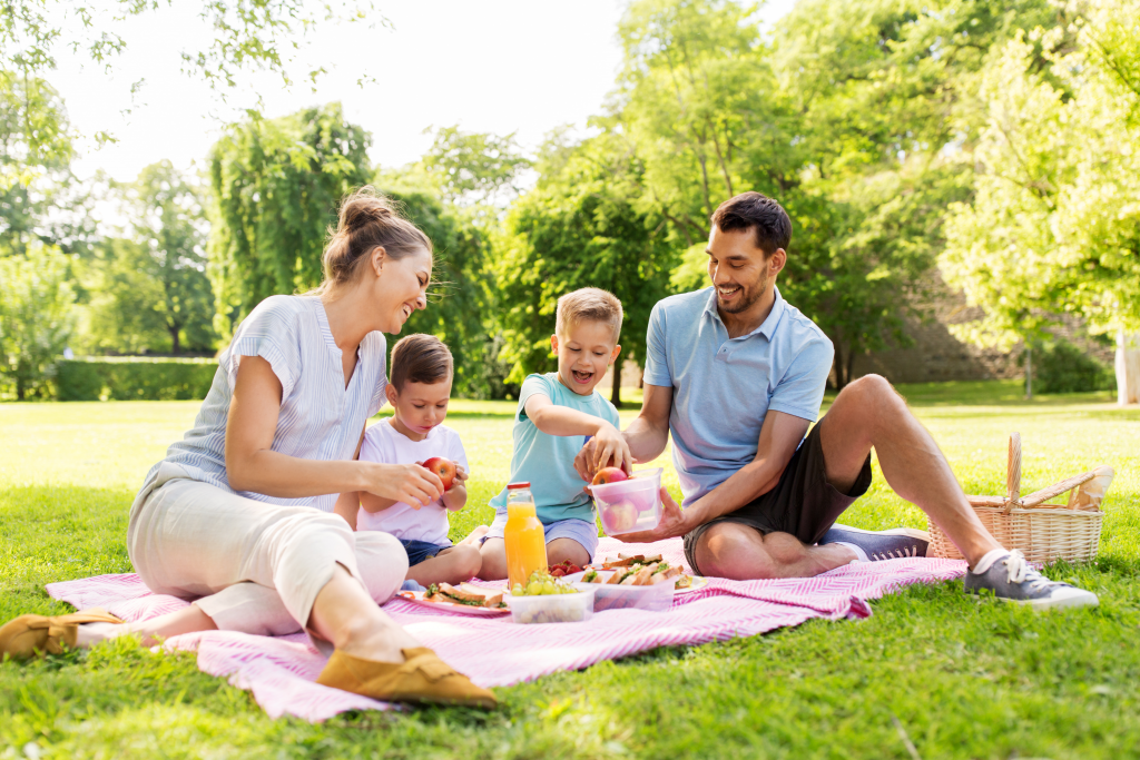 How to create the perfect summer picnic the whole family will love